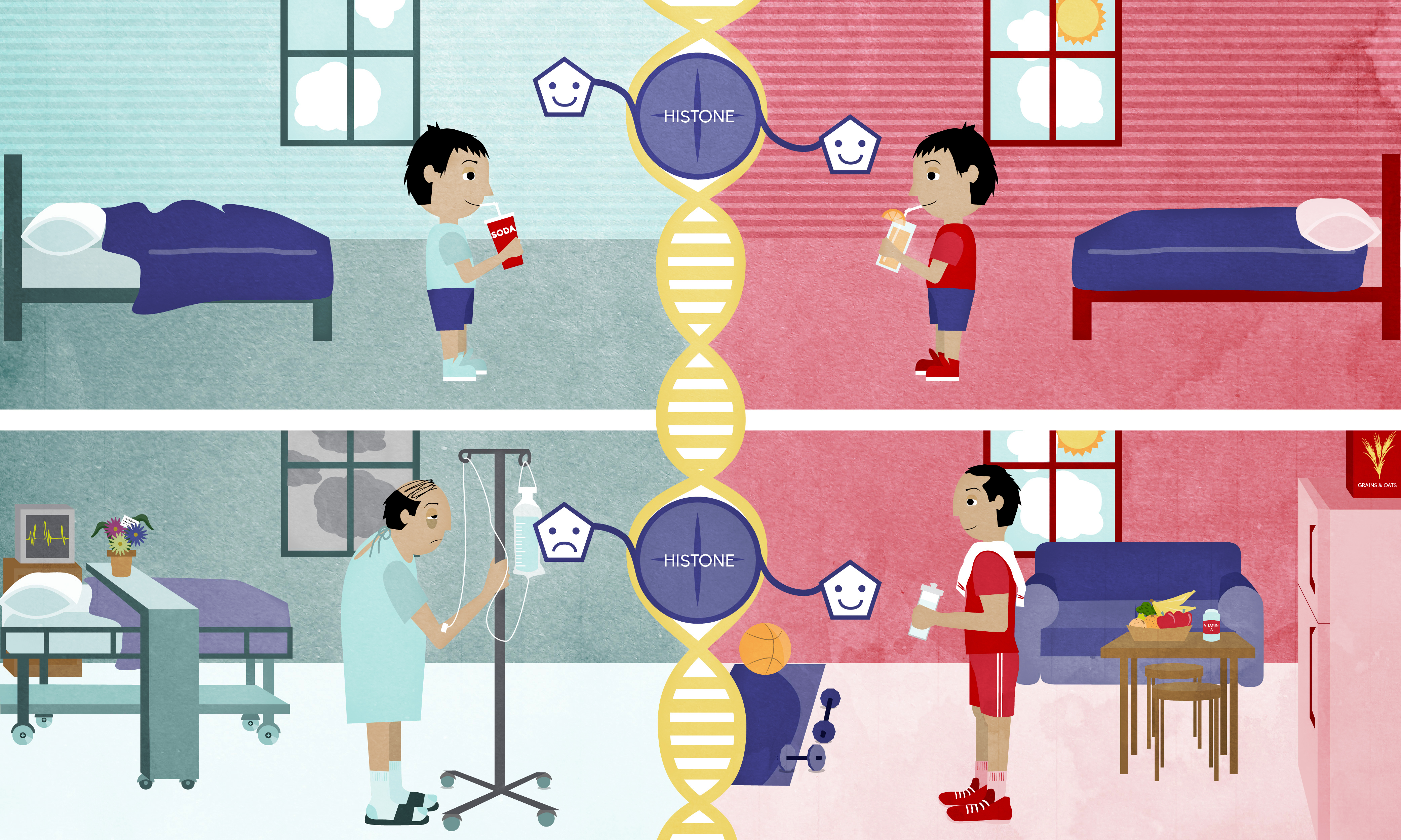 Illustration showing epigenetic tags on DNA wrapped around histones in different physiological states